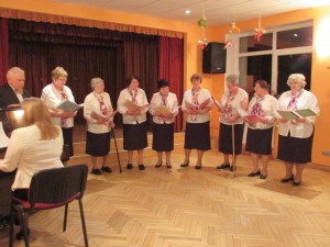 Padures senioru vok.ans.