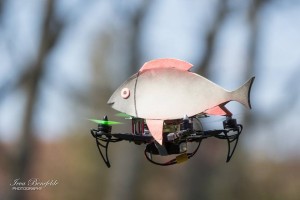 13138924_1118359491518397_3679987393958735813_n