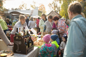 14568126_1234662099888135_812691909729563019_n