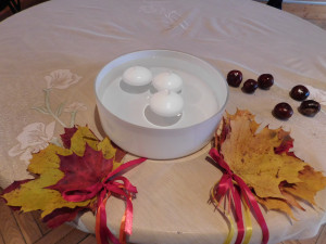 deksne_mus_sagaida_vizosa_svet_29