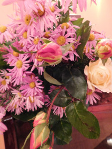 deksne_mus_sagaida_vizosa_svet_34