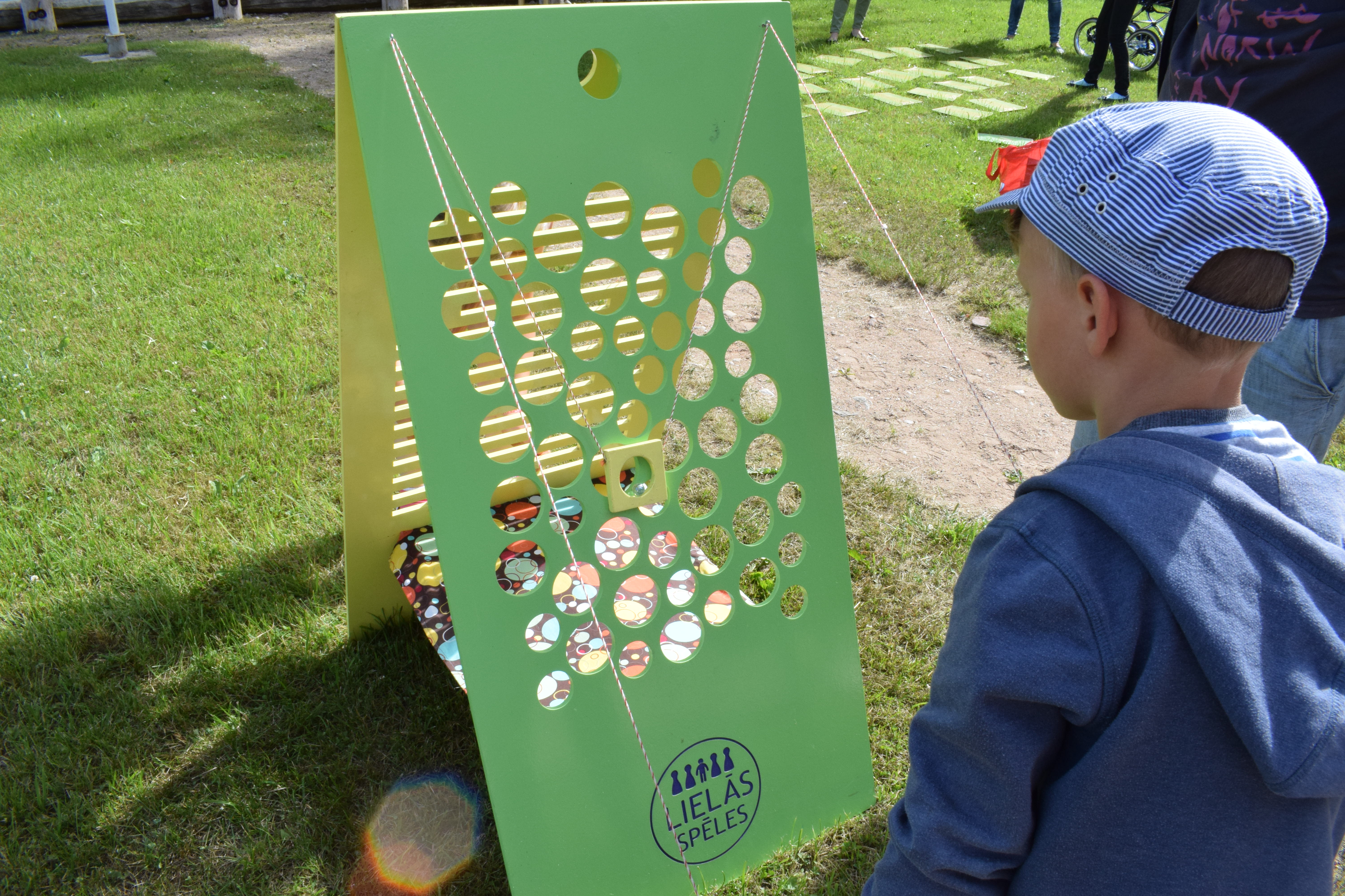 Vasaras saulgrieži Padurē 2017.